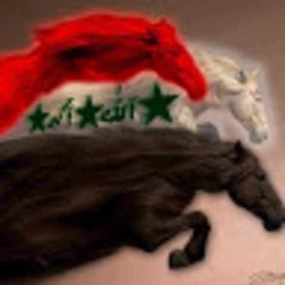 Meet your Posher, Hala - Picture 1 of 1